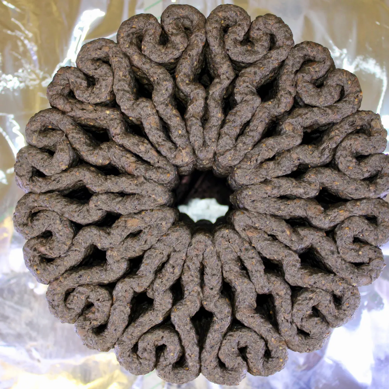 The fresh print from above, a ring of brain-coral folds