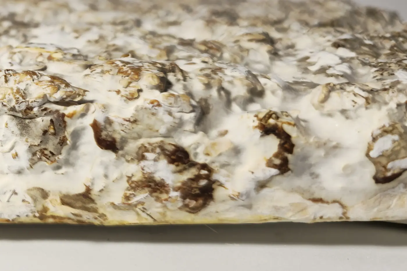 Close-up of the grown material's surface