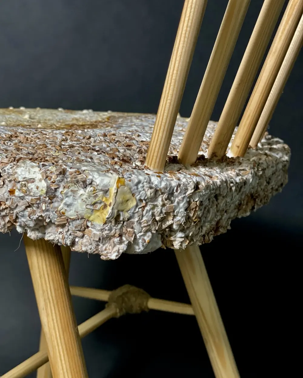 A chair with a grown mycelium seat on turned wooden legs