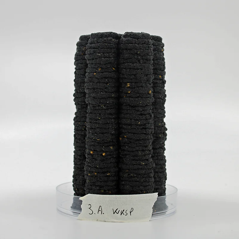 Tall printed cylinders, from fresh black paste to fully white with mycelium