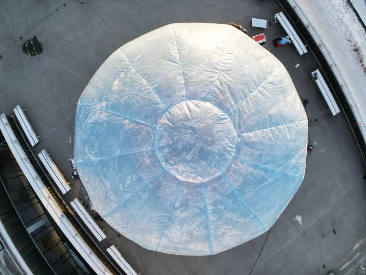 The transparent dome seen from directly above, its seams like the ribs of a shell