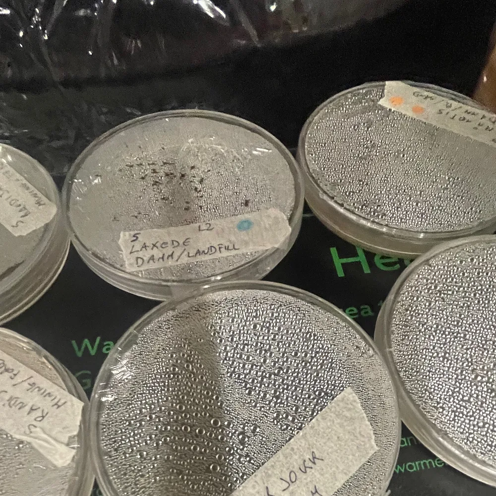 Petri dishes of soil samples, each labelled by hand with the site it came from, such as Lakode dam and landfill