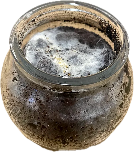 A jar of dark substrate with white mycelium on top