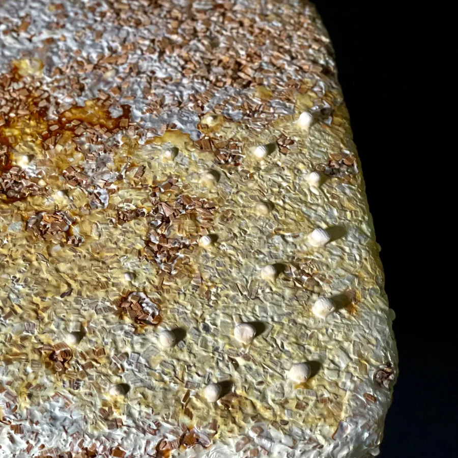 The seat surface close up: wood chips bound by mycelium, dotted with small holes