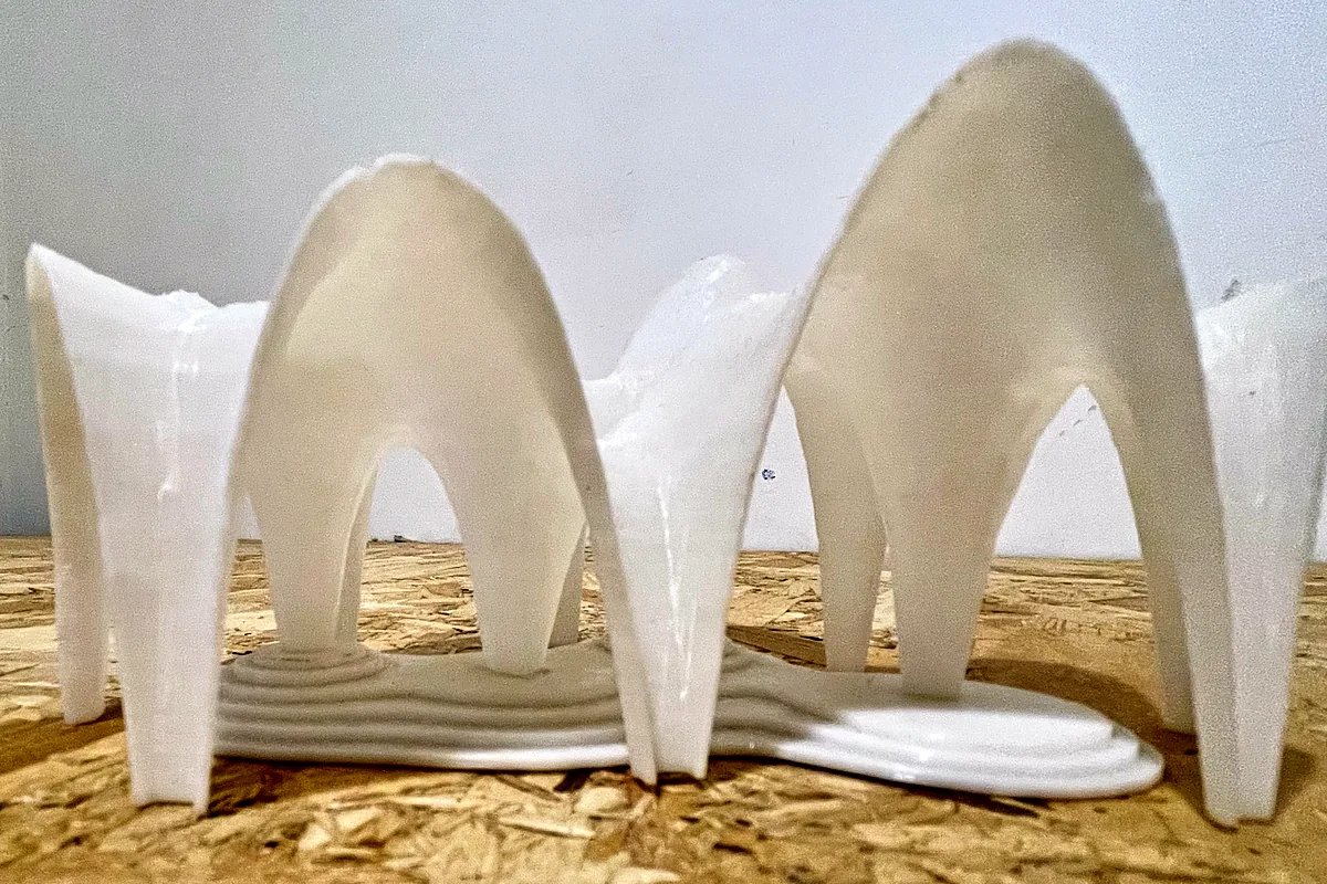 3D printed model of the flat shells, white, on a wooden board